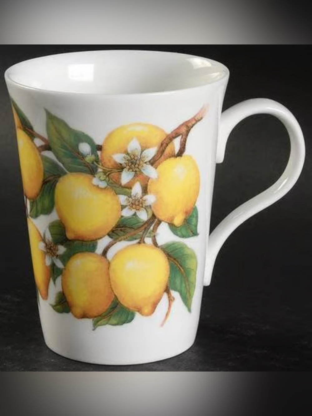 Set of 4 Crown Trent Fine Bone China Mugs- Made in England